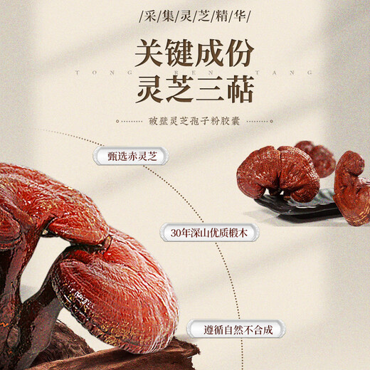 Tongrentang pejing Tongrentang Breakwand Ganoderma lucidum spore pulverkapseln 0,35 g/partikel*60 Kapseln/Box Neue Immunitätsverbesserungsperiode 60 Kapseln*3 Dosen Ganoderma lucidum racquetpulver [Zyklusverpackung]
