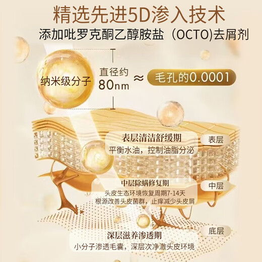 LD男女士专用进口原料毛囊去屑止痒控油持久蓬松除蟎炎清洁洗发水