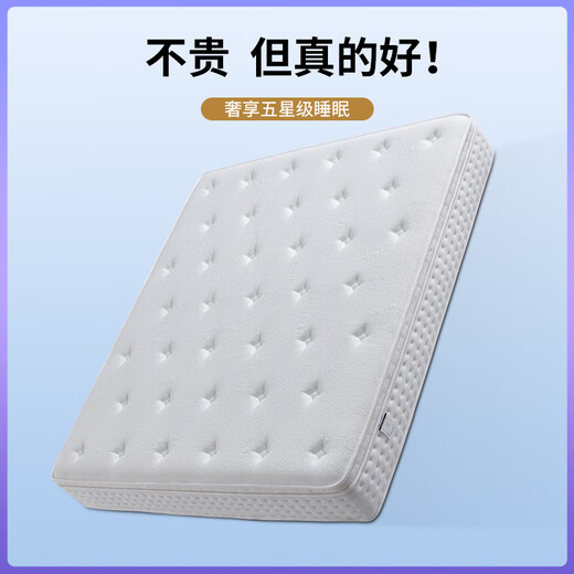 顾恋希尔顿五星酒店床垫加厚软垫独立袋弹簧记忆棉压缩家用卧室可定制 希尔顿豪华款25cm【五星柔软】 1350mm*2000mm