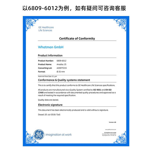 British Waterman Anoporeaao Membrane filtre d'alumine inorganique 6809-5002 / 5012/5022 500247 mm 0,02UM