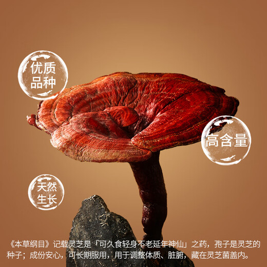 
Tongrentang (TRT) Ganoderma lucidum spore powder capsule spore powder extraction nutritional health products gift 0.4g*40 capsules/can*2 cans
