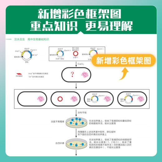 2025 new version of mathematics real questions classification + basics 2000 questions Cai Dejin Physics Basics 1200 questions Mingge Physics Zhang Mei Chemistry 1300 questions Li Lin Biology Basics 1000 questions Xuejia College Entrance Examination One Round Two Review Materials [Hanshui Chou Student] Basic Knowledge of High School Biology