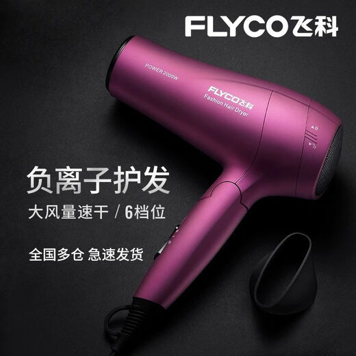 飞科电吹风机家用大功率2000W发廊冷热风负离子护发大风力吹风机 FH6231 标配+气垫梳套装【送旅行袋】