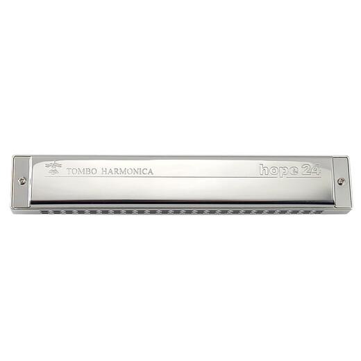 Tongbao Ruhungssymbol Benutzerdefiniertes modifiziertes Metall Zither 24-Loch Polyphonic Mundhomononica 6624 Anfänger #A (BB) Melodie