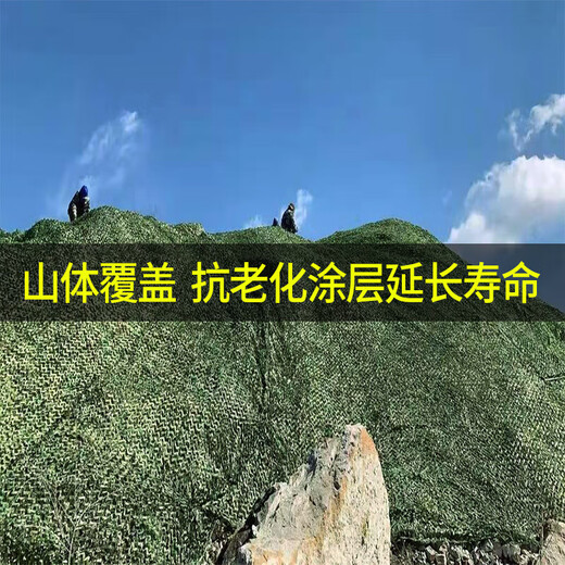 Lona de camuflaje Red de camuflaje Cubierta de protección solar verde Sombreado Red de sombrilla de camuflaje al aire libre Red verde Cobertura de fotografía antiaérea Refuerzo de doble capa recomendado 3 metros x 6 metros