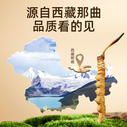 紫蓝花海【西藏那曲】正宗野生冬虫夏草新干虫草高端滋补礼盒送父母长辈 【西藏那曲甄选】野生·5条/g 10克装