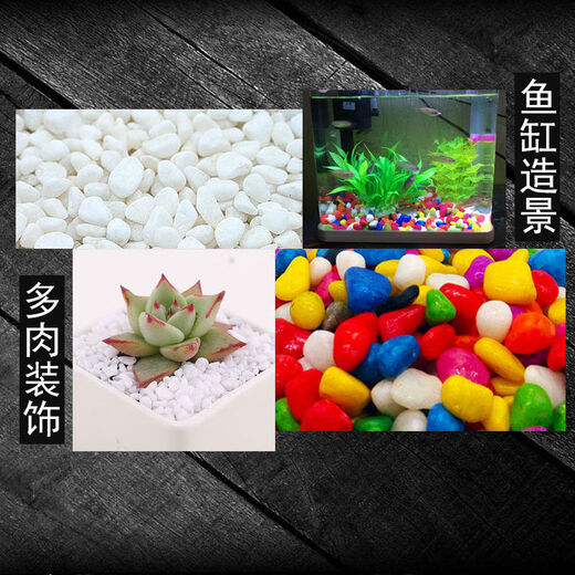Runhuanian succulent paving stones, small colored stones, flower pots, green plants, white stones, colorful stone potted plants, flower growing stones, decoration, 2 Jin Jin is equal to 0.5 kg, Da Bai + 1 Jin Jin is equal to 0.5 kg, Da Cai (suitable for large pots)