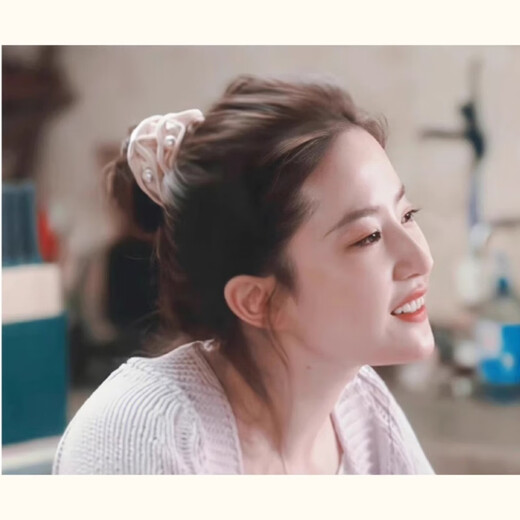 The Story of Danqin Rose Liu Yifei's same style pearl large intestine hair tie women's hair rope ball scalp tendon headband hair accessories Liu Yifei's same style nude pink hair tie