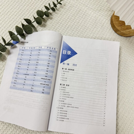 新编俄语语法 第2版