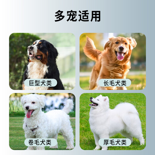 Dog hair comb detangling comb single row nail rake hair removal comb golden fur edge shepherd dog special hair removal artifact HWC single row nail rake hair removal comb - blue bubble shell