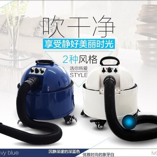 Chunzhou large dog pet store dedicated dog electric heating high-power double water blower golden retriever hair dryer Chunzhou A22 white adjustable temperature