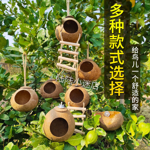 Runhuanian coconut shell bird's nest, tiger skin, peony, black bird, parrot, bird's nest, pet warm straw braid, large raw material screw type