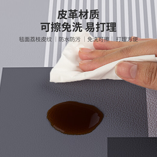 小电兜 XELECPOCKET入户门地垫大尺寸轻奢高端入户门地垫感可擦免洗PVC皮革门垫 辉映-CX-竖版-1283 100*120cm【不卡门缝】