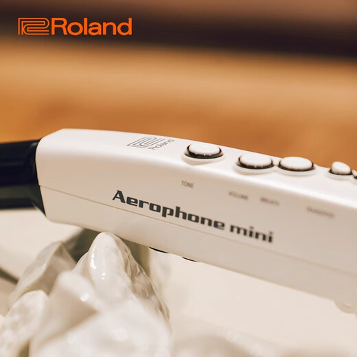 罗兰（Roland）电吹管AE05C自带音源电萨克斯民族音色AE01老年初学入门电子管乐 AE-01C白色