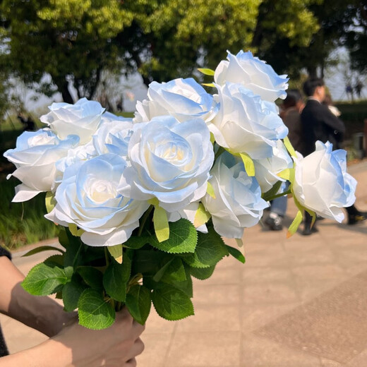 Li Qiuke Ins Rosas falsas Adornos de ramo simulados Arreglo de flores y foto Diy de alto valor Regalo de hielo roto Decoración de la sala de estar azul Flores de hielo roto [9896% Piezas de opción de hada-12]
