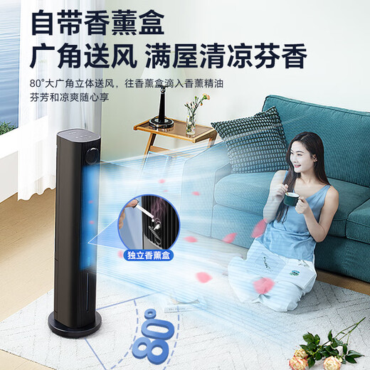 Gree air conditioning fan, dual-use cooling fan, household mobile refrigeration, small air conditioner, cooling, electric fan, vertical humidification, water-cooling tower fan, plasma sterilization, 25-year comprehensive upgrade of single cooling