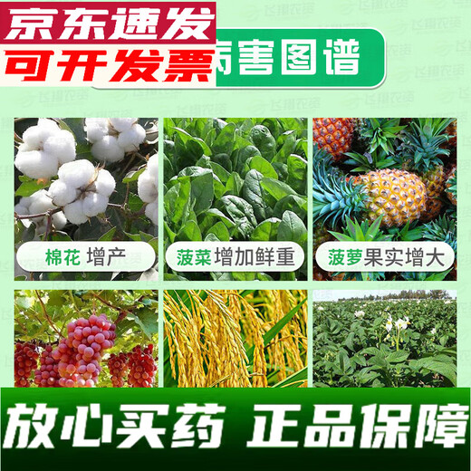 Sanliu Shanghai Tongrui Sanliu 3% gibberellic acid gibberellin 920 weight-increasing seedlings and increased yield plant growth regulator 25ml 25ml