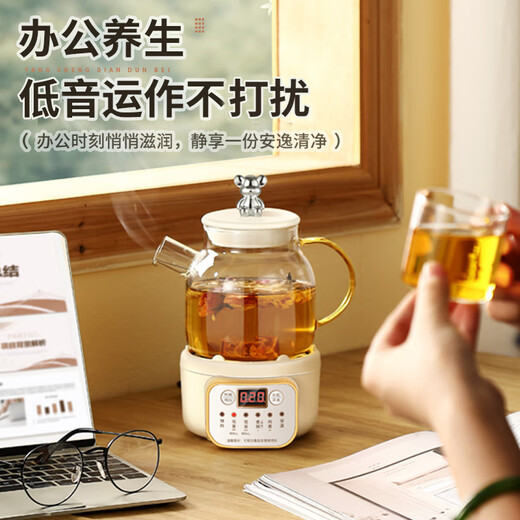 Mini Multifunctional Health Pot for Small Office Mini Home 2024 New Tea Maker Tea Pot Stew Pot Kettle Heat Resistant All-Glass Flower Teapot for One Person Smart Model 0.6L