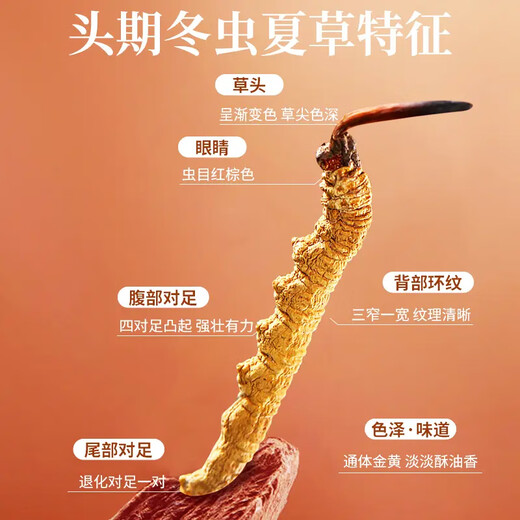 雪域祝福高海拔 纯天然 冬虫夏草礼盒装 送礼佳品 送长辈礼盒 200克精品木盒 2根1克