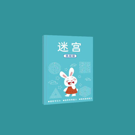 儿童迷宫训练书逻辑思维早教玩具益智游戏多功能早教启智学习神器 迷宫训练书【高级款】单本