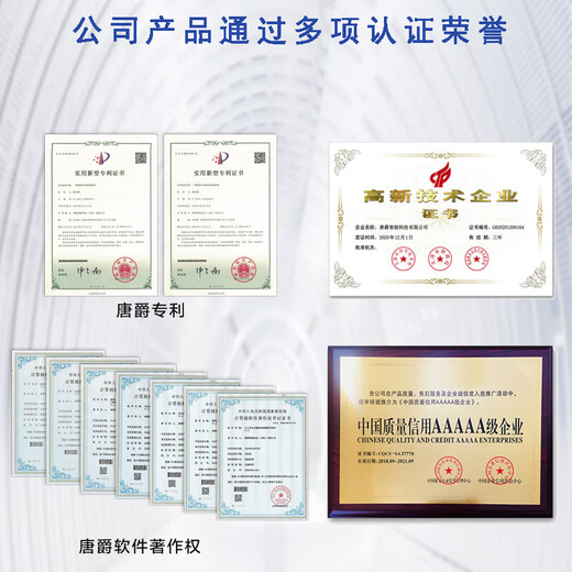 唐爵 TALLJO漆金高音萨克斯风 专业降B调黄铜管体 成人儿童初学考级演奏乐器 681漆金黄铜高音萨克斯