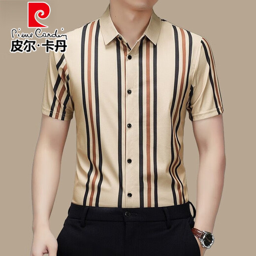 皮尔卡丹（pierre cardin）高档桑蚕丝短袖衬衫男士夏季新款潮流条纹弹力休闲商务免烫衬衣潮 白色 【高档短衣袖688】 L 170115-130斤