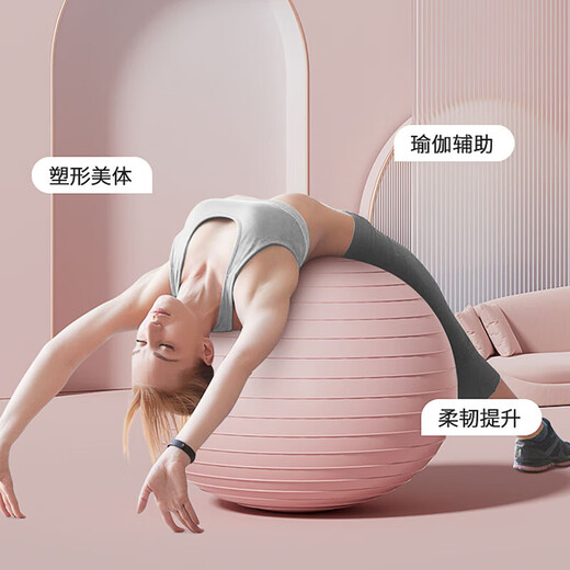木可克克瑜伽球 健身球普拉提大小球加厚防爆感统训练孕妇助产按摩球 瑜伽球 55CM【浅粉色】