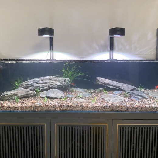 Pure natural stream stone fish tank landscaping stone flakes turtle basking back schist climbing pet rockery terrace landscaping stone 10Jin Jin is equal to 0.5kg 5-10cm schist size matching