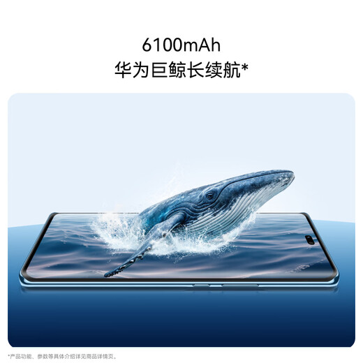 华为畅享 70X活力版 国家补贴15% 256GB 曜金黑 华为巨鲸超能长续航鸿蒙安全双五星超耐摔华为鸿蒙手机