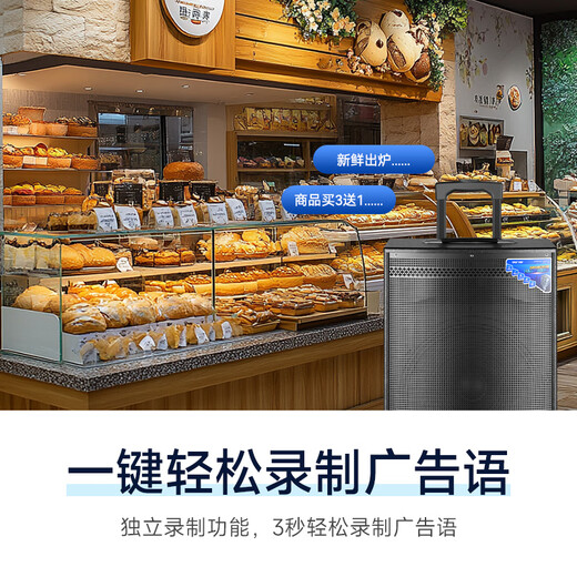 Xianke Outdoor Square Dance Trolley Portable Speaker Super Large Volume High Power Mobile Bluetooth Conference Speaker K-Song 12-inch Subwoofer Speech with Microphone SA-122 X