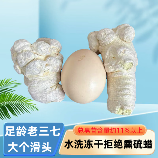 Freeze-dried Panax notoginseng Yunnan Wenshan Panax notoginseng selected spring Panax notoginseng 15 heads 37 ten heads 500g Panax notoginseng powder Yunnan Panax notoginseng powder 8 years seven freeze-dried 250g*2 bags 30 pieces (hot seller