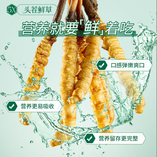 阿依舍新鲜虫草0.5-0.6g/根100根头茬鲜冬虫夏草补品【源头直发】包邮