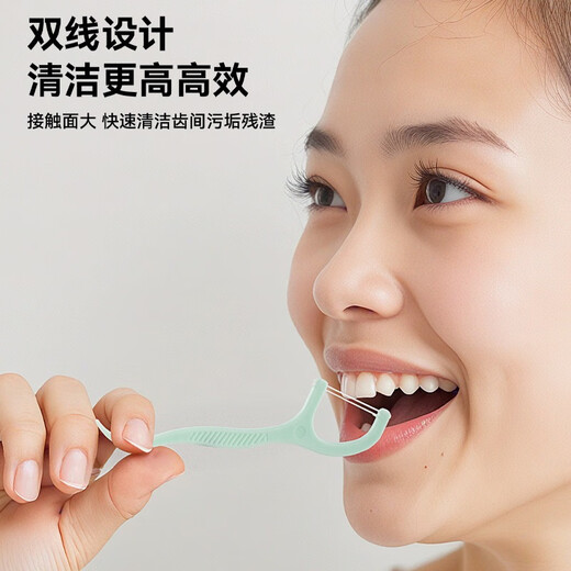 薄荷味 双线护理牙线棒 清新抗菌舒适洁齿一次性 超细牙签便携装 双线薄荷味牙线棒【10盒】