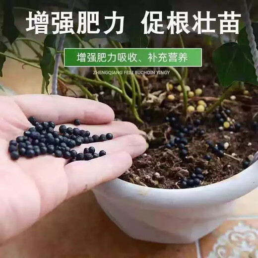 Stanley Compound Fertilizer Flower Fertilizer Chemical Fertilizer Nitrogen Phosphorus Potassium Green Plant Fruit Tree Flower Nutrient Soil Potassium Dihydrogen Phosphate Universal Universal High Efficiency Compound Fertilizer Bulk 5Jin Jin is equal to 0.5kg 2500g delivery spoon