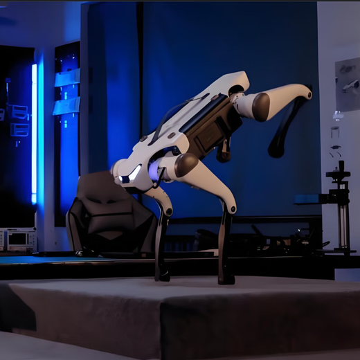 Tief im Cloud Roboter Dog kann Sekundärentwicklung Jueying X30 Pro