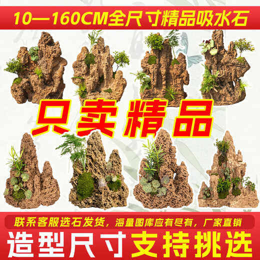 Shiguang Xiaozhan boutique water-absorbing stone bonsai fish pond rockery micro-landscape decoration natural rockery stone landscaping raw stone boutique 45-49cm water-absorbing stone does not include basin