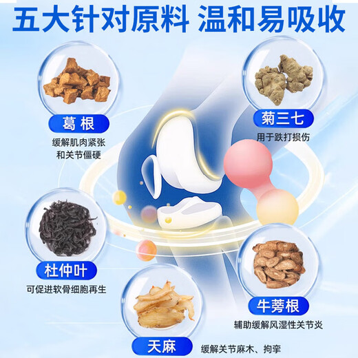 北京同仁堂天麻杜仲叶平卧菊三七通络片天麻三七通络片中老年关节疼痛养护 三瓶【周期装】 官方店京自旗舰營東