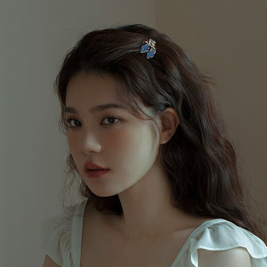 Xiangwan hairpin hairpin rhinestone star small hairpin female exquisite small clip head small grab clip side hairpin hair accessories