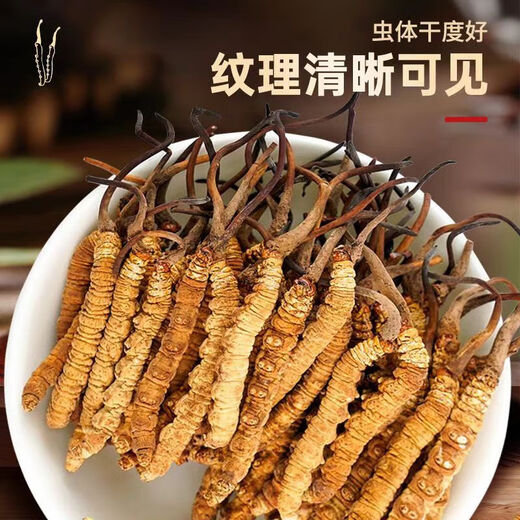 藏芝翁高海拔冬虫夏草精选头茬干虫草高端滋补礼盒送长辈送领导送客户 3根/克共100克【高端礼盒，健康品质】