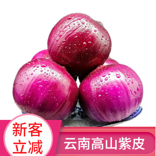 [Manger cru légèrement sucré] gansu jiuquan purppe oignon fraîche oignon rouge 5 Jin [Jin est égal à 0,5 kg] Végétables bon marché pour l'élimination du formaldéhyde, Onion de sélection de haute qualité 13586 Single 5 Jin [Jin est égal à 0,5 kg]