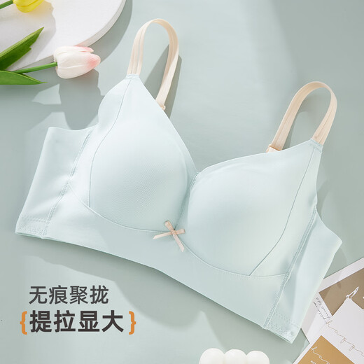 雅黛俪（ALDOLA）内衣女提拉小胸聚拢显大2025春夏新款收副乳防下垂调整型文胸罩 冰蓝 75A