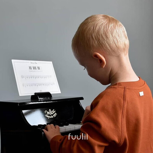 Manxue (Manxue) Acordeón francés Piano Instrumento para niños Música Ilustración Baby Educación temprana de madera Juguete 18 Key Black Piano