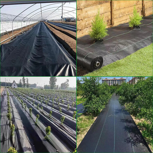 Agricultural grass-proof cloth, weed-killing cloth, agricultural ground cloth, fruit tree cover cloth, grass cover cloth, black mulch film, durable punched slices, anti-aging fruit tree special punched slices, 20 slices of 1.5*1.5 meters, free closing nail