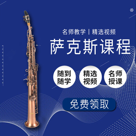 唐爵 TALLJO漆金高音萨克斯风 专业降B调黄铜管体 成人儿童初学考级演奏乐器 681漆金黄铜高音萨克斯
