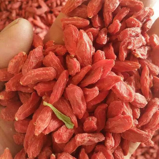 Xiemu ningxia Высококачественное <аутентичное и специальное Wolfberry> Ningxia Выбранная Wolfberry крупные гранулы Zhongning Wolfberry 500g Выбрали большие фрукты 500G [2 банки].