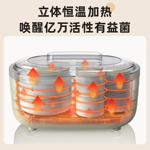 小熊（Bear）酸奶机家用小型全自动酸奶发酵机 酸奶纳豆米酒泡菜+6内胆SNJ-C10P2