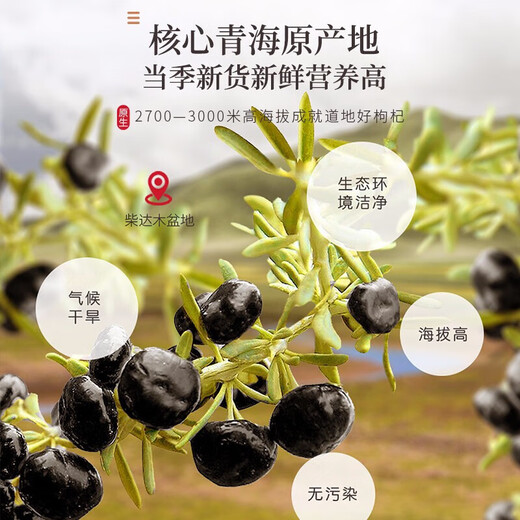 Fudonghai Black fruit wolfberry 400g/can nourishes the liver and kidneys, improves the eyes, deficiency of blood and essence, pain in the waist and knees, dizziness and tinnitus, impotence and sperm, diabetes, blood deficiency and sallowness, dark eyes