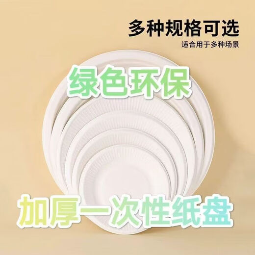 Disposable paper plate paper bowl tableware environmentally friendly paper dinner plate barbecue plate cake painting handmade diy kindergarten plate 10 inch round plate 10 pieces