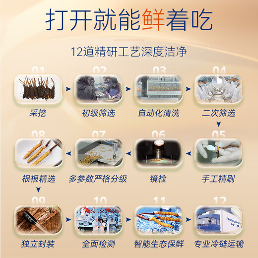 Dongyang Sunshine Fresh Cordyceps Box cadeau Cordyceps Gift nutritionnel haut-gir