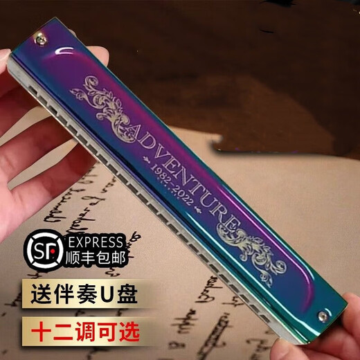 Swan Dream Chaser High-End High-End Polyphonic C-Tune C-Tune Alemán Gong Profesional para adultos jugando armónica Regalo de 24 hoyos Polyphonic [Tono de nota de pedido]